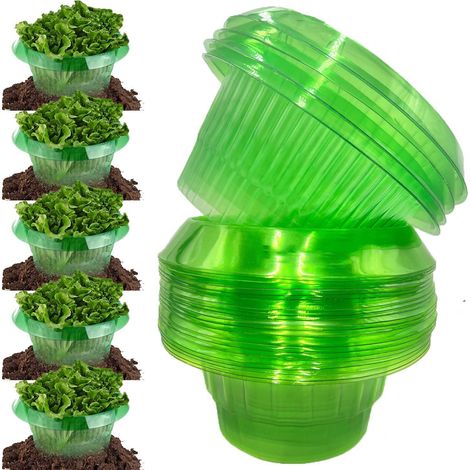 Collier d'escargot 12 pièces, protection anti-limaces d'escargot, protecteur de légumes pour plantes à salade et à choux-protège les plantes (1/5)