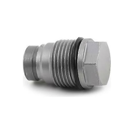 1110010013 Druckbegrenzungsventil für Motoren 1110010028 F00R001166 1110010026 1110010018 1110010017 (1/5)