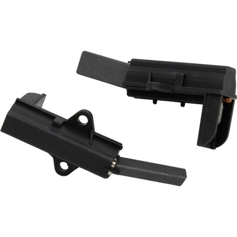 2 charbons moteur + supports