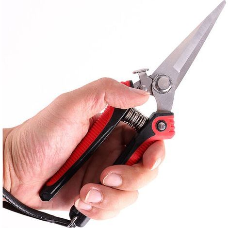 Aiperq Sécateur de jardin – Ciseaux antidérapants avec poignée de verrouillage pour élagage de jardins, arbustes, clôtures – Rouge Noir 200 mm (1/3)
