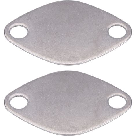 Jeffergarden Kit de Plaque d'Obturation de Valve avec Joint 2Pcs Plaque d'obturateur de Vanne EGR Valve Blanking Bloc Assiettes Kit pour Espace Laguna Master Trafic Movano-DOU