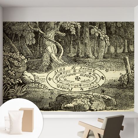 Papier peint intissé avec imprimé pour décoration intérieure pour rénovation a motif - Colle incluse gratuite Cercle magique 152x104 cm (1/5)