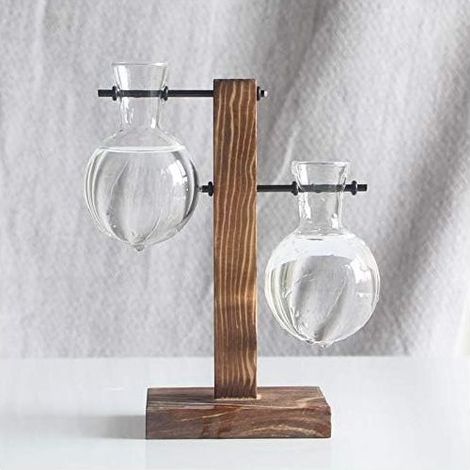 Frame in Wood creative Vase hydroponique Plant of ananas Green Arrangement of Flowers in Glass Transparent container Ornament of Table Products of decoration menagere (1/4)