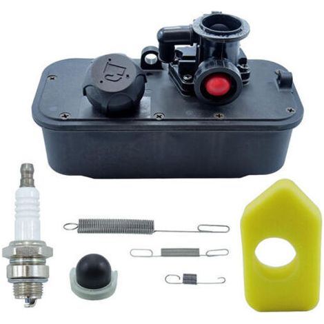 494406 Tanque de combustible con carburador 795477 Reemplaza a 498809, 498809A, 498811, 494407, 494775, 497619, 699660, 794147, 794161, 795469 (1/3)
