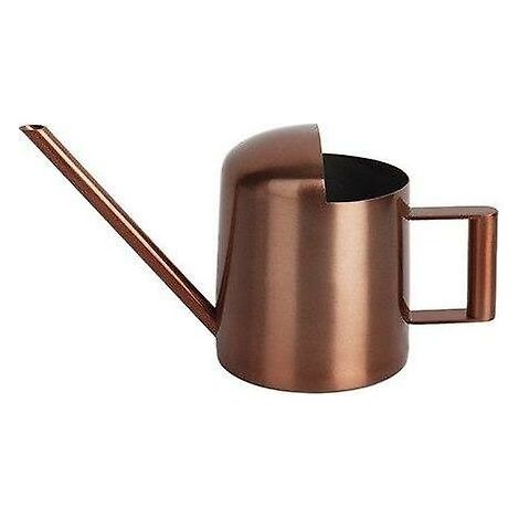 Arrosoir cylindrique raffiné de 300 ml, outil de jardinage, récipient à eau en acier inoxydable. (1/5)