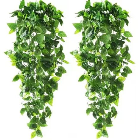 Sollbry 2pcs Plantes Suspendues Artificielles Long Plante Suspendue Artificielle Décor De Mariage Faux Ivy Vigne pour Mur Maison Chambre Intérieur Extérieur (1/5)