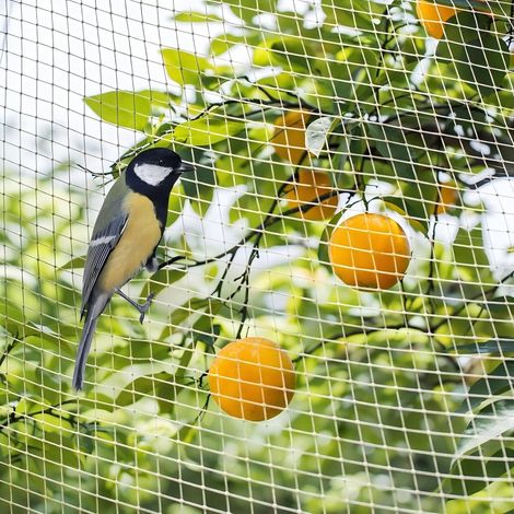 Filet Anti Oiseaux, 6X10m Filet de Jardin, Filet Anti Pigeon, Blanc Filet de Protection, Filet Jardin Potager, Protèger Les Plantes, Les légumes, Les Fruits, Maille Fines de 2 x 2 cm (1/5)