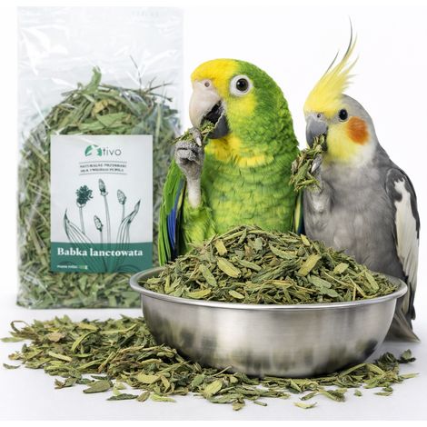 Plantain lancéolé séché pour perroquets - Complément alimentaire naturel à base de plantes 100 g (1/3)