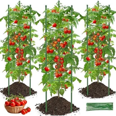 Tuteur Tomate, 3pcs Cage à Tomates Support 130cm Treillis Plante Grimpante Exterieur Obélisque pour Jardin, Piquets de Plantes Frimpantes, Légumes et Fleurs - (1/5)