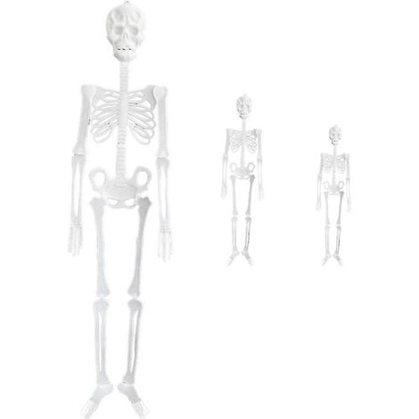 3-teiliges Halloween-Skelett-Set für Halloween-Dekoration