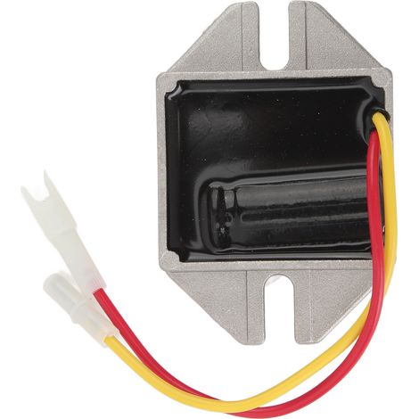 Regolatore di tensione/raddrizzatore AVR, uscita stabile, in sostituzione dei modelli 698102, 698315 e 150523. (1/4)