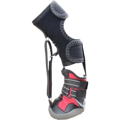 1/2 orthèse de pied avec bobine pour chien avec problème de pieds et amélioration de la marche dans les chaussures correctrices pour chiens sans jointures pour chien qui traînent les pattes (1/4)