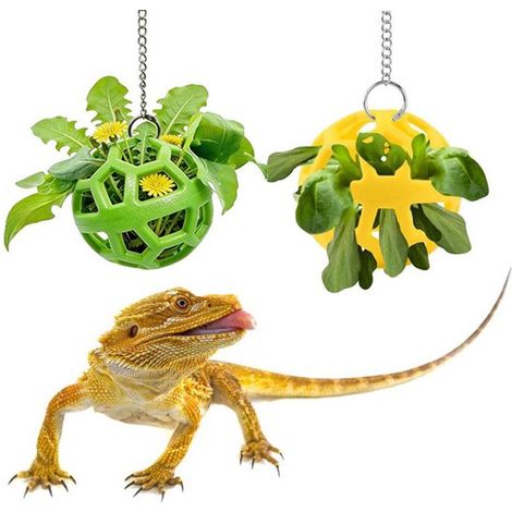 Boule de nourriture suspendue pour lézards – Lot de 2 boules avec deux chaînes de 30 cm – Gamelle jaune-verte pour dragons barbus – Jouet/accessoire alimentaire pour terrarium (diamètre 9 cm) (1/2)