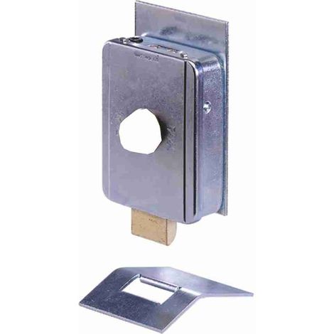 Elektroschloss 12/24 VDC Faac 712661 Automatisierung Automatismen Originalgarantie