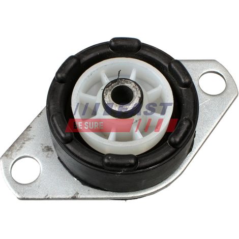Soporte de motor rápido FT52233 LE