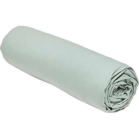Drap housse TODAY Essential - 90 x 190 cm - 1 Person - 100% Baumwolle einfarbig - Celadon