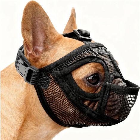 Museliere Bouledogue Francais, Réglable Muselière Chien Respirant Masque Plate Museliere Petit Chiens Court Anti Morsure Mastication Léchage pour Shih Tzu Et Carlin (M) (1/5)