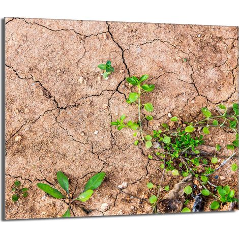 Protector de cristal para estufa 60x52 Plantas (1/5)