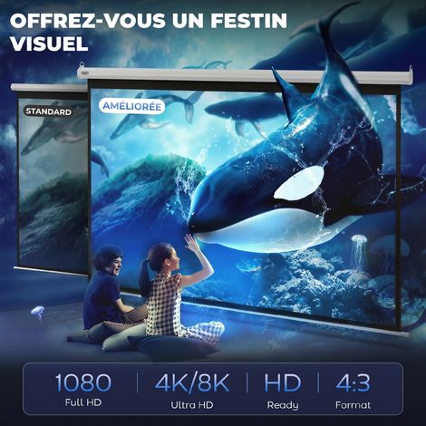 Toile de projection manuelle 244x183cm 120 pouces 4:3/16:9 pour home cinéma (1/5)