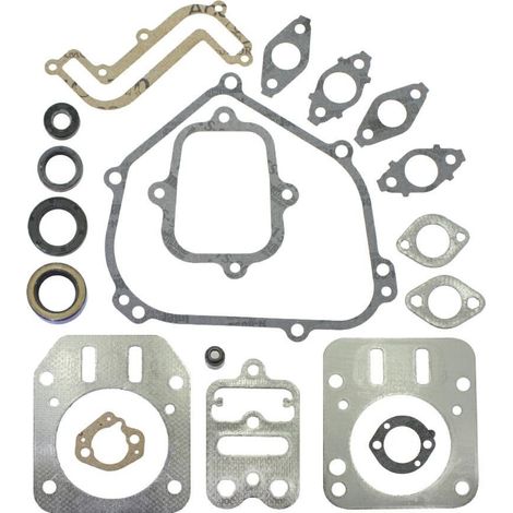 BRIGGS&STRATTON Dichtungssatz für OHV-Rasentraktor-Mähwerk 791797