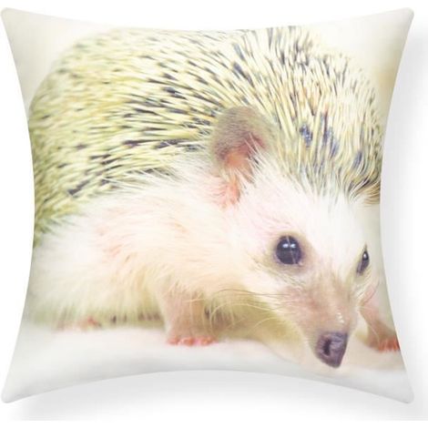 Housse de coussin - AVIZAR - Lot de 2 - Motif Hérisson - 40x40 cm - Multicolore (1/5)