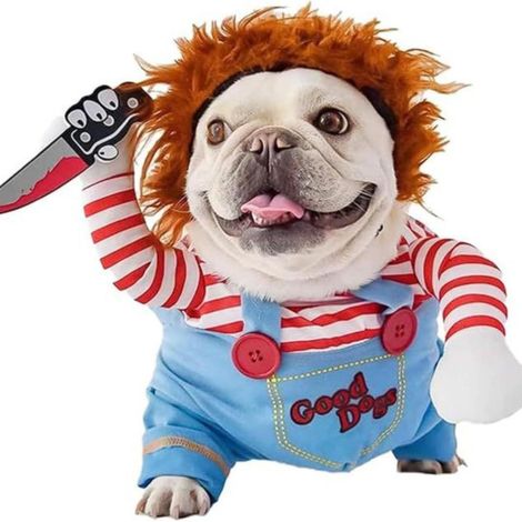 Disfraz de perro, disfraz divertido para Halloween y Navidad, ideal para cumpleaños, Navidad y Halloween. (1/4)