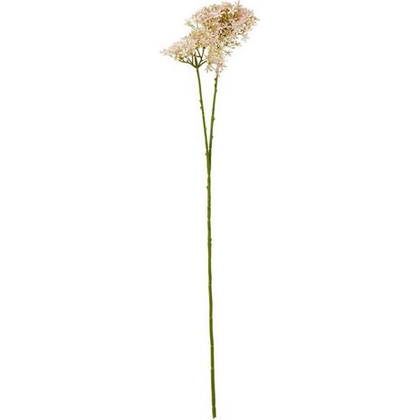 Crown Hydrangea (Single Stem Flower) - Plastic - L16 x W18 x H71 cm - Pink
