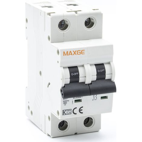 Interruptor automatico industrial 2P-6kA  Blanco 25 A (1/4)