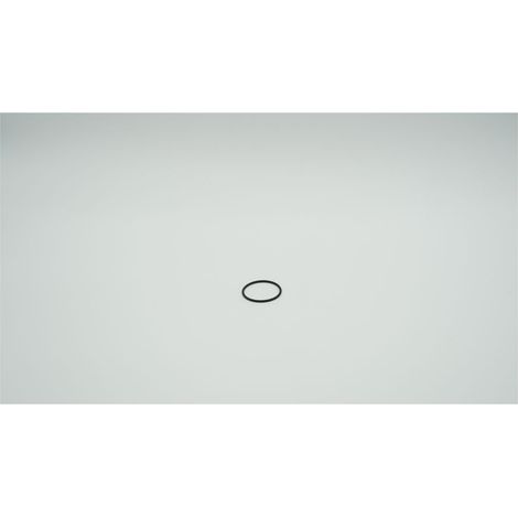 BWT O-Ring EP70 42,52x2,62mm, 9-127590
