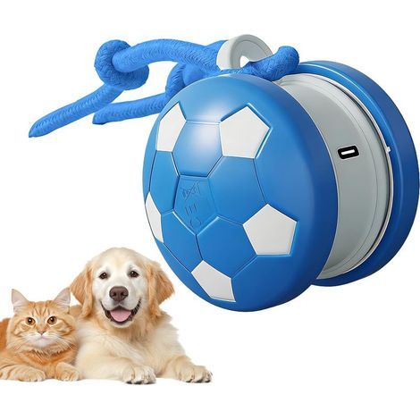 Balle Interactive pour Chat Jouet Intelligent à, Appareil de Jeu Rechargeable pour Animaux de Compagnie avec Queue de Corde, Accessoire félin avec Plaisir activé par Le Mouvement, Utilisation (1/5)