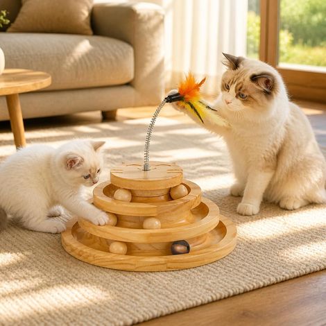 Jouet de Piste de Chat avec Cloche, 4 Couches, 1 bâton de Plumes (1/5)