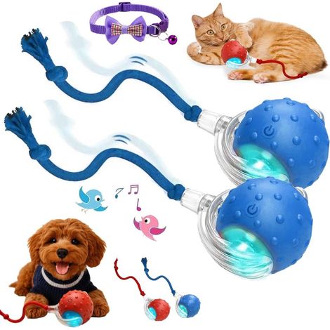 Tiny Fetch Motion Hundespielzeug 2.0, schnell beweglicher interaktiver Ball mit Vogelgesang, 360° automatisches Rollen (Blau2)
