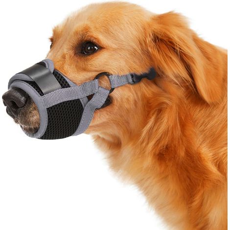 1 muselière pour chien, souple en maille respirante, anti-aboiement et anti-mâchouillage, idéale pour toilettage et visite vétérinaire (1/5)