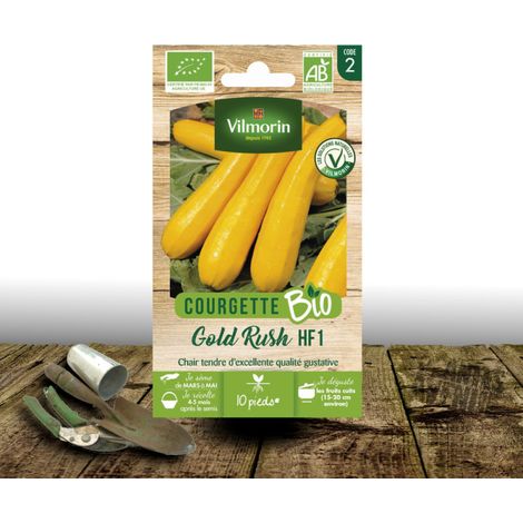 Graines de Courgette jaune Gold Rush BIO