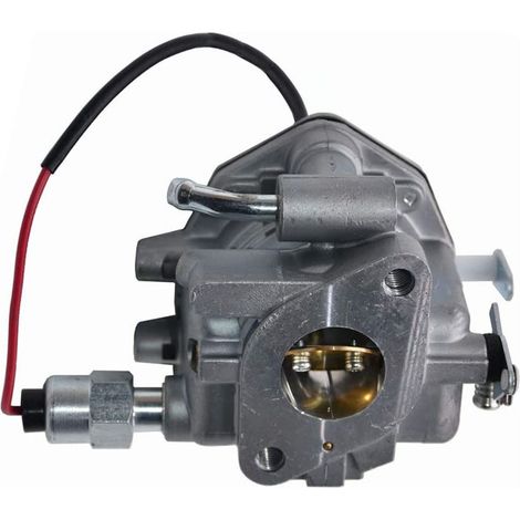 Carburateur 845015 tondeuse essence – Remplace 845906 809013 808252 807943 – Moteur 305442