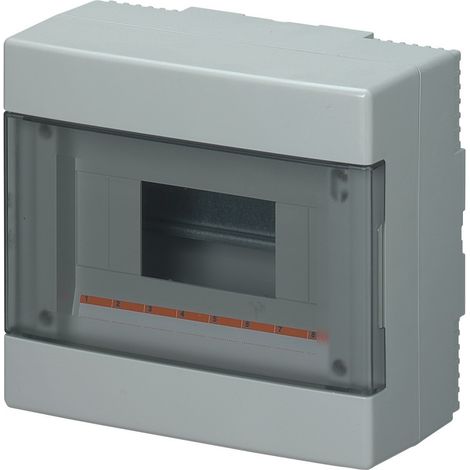 Centralina Parete Ip40 Portella Trasp.8 Moduli (Elettrocanali Cod. Ec60008)