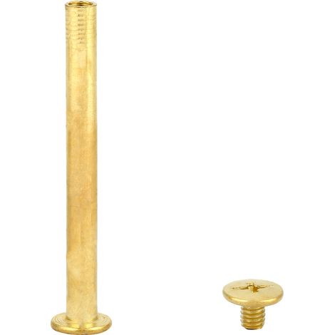 Lot de 10 rivets à tête plate M5 pour albums de livres et loisirs créatifs (M550) (1/5)