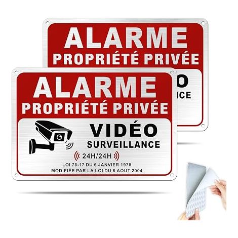 Brushed Aluminium Adhesive Home Alarm Sign, 22 x 15 cm, Private Property with Alarm, Video Surveillance Alarm (1/4)