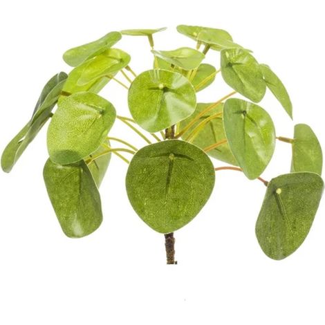 Pilea Mini Bush - Plante Verte d'Intérieur Décorative et Dépolluante - Pot Ø 13 cm - PANGIVO