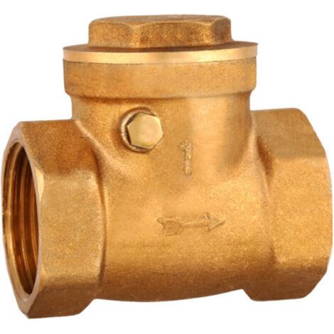 Clapet anti-retour à battant en laiton, filetage femelle DN25, 232 PSI, empêchant le refoulement d'eau.