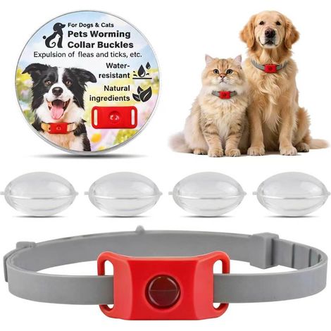 Collier Anti Puces pour Chat Chien Tique Remplaçable Naturel Plantes Huiles Essentielles Élimine Antipuce Antiparasitaire Moustique Parasitaire Lot Imperméables Réglable 63cm Petits Moyens Grands (1/5)