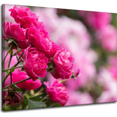 Leinwanddruck „Botanische rosa Rosen“, 100 x 80 cm