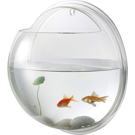 1 Aquarium Mural, Acrylique, Réservoir Suspendu, Hydroponique, Pour Poissons Et Plantes, Décoration Intérieure (1/5)