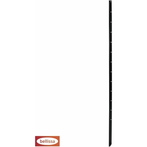 Bellissa Pflanzstab-Verlängerung Timo 120 cm grün (1/2)