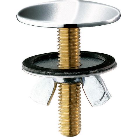 Cache trou chromé luxe Ø 45 DELABIE 596000 (1/5)