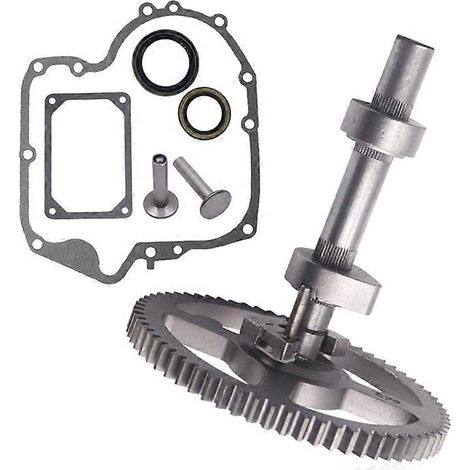 Kit de pignon d'arbre à cames et joint d'arbre à cames pour For & Stratton 793880, 791942 et 795102 (1/4)