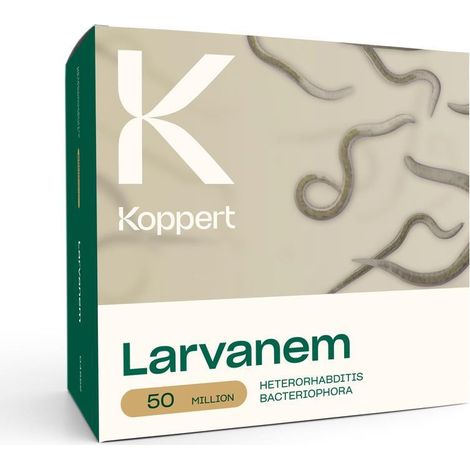 Larvanem Koppert - 50 milioni - Heterorhabditis bacteriophora