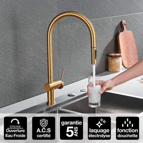 Robinet Mitigeur de Cuisine anti-calcaire avec Douche anti-calcairette Or Brossé IMEX BERNA GCE026/OC (1/4)