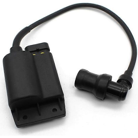 Bobine CDI pour ET4 / LX / Lxv 50 Zip 50 4T pour Liberty (1/5)