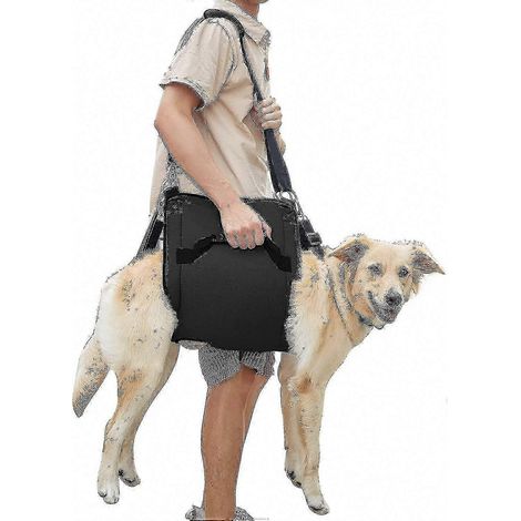 Hundetragetasche, Notfall-Hundegeschirr, Pfotenrehabilitation und Krallenpflege (schwarz oder blau) (1/5)
